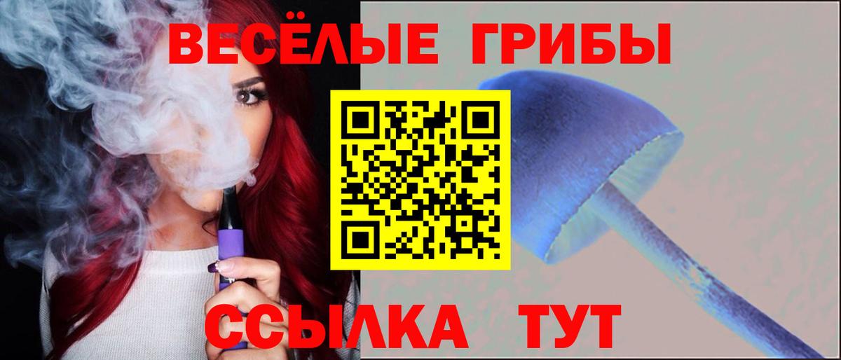 Галлюциногенные грибы MAGIC MUSHROOMS Владивосток